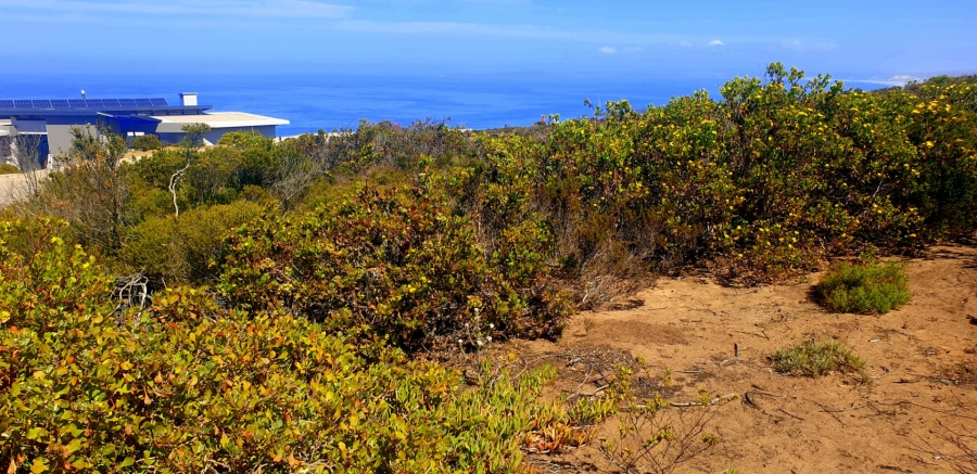 Commercial Property for Sale in Paradise Coast Western Cape
